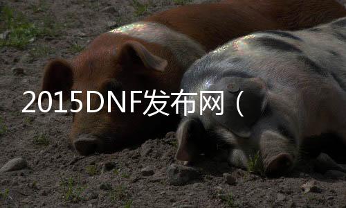 2015DNF发布网（2015DNF发布网职业联赛）