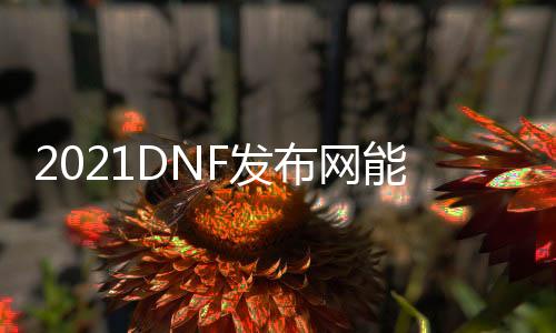 2021DNF发布网能搬砖么